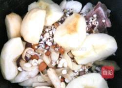 四味苹果清润汤的做法图解6