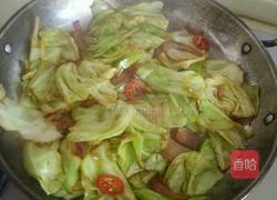干锅手撕平包菜的做法图解8