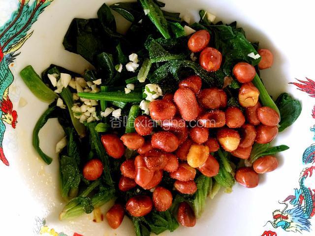 菠菜过凉水后沥干水份，切段和炒好的花生米一起放入碗中，加入蒜末、盐、芝麻油、辣椒油搅拌均匀。