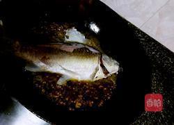 平菇炖鲫鱼（双椒版）的做法图解5