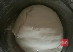 鲜肉糯米粑粑的做法图解5