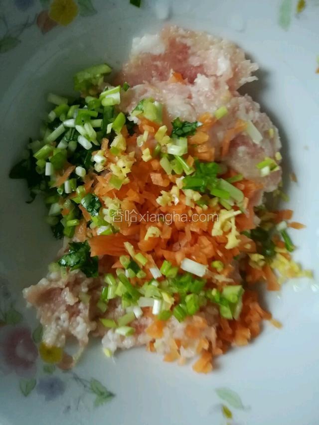 肉泥放碗内，加胡萝卜碎，葱花，姜米，盐，淀粉，淀粉，味精，胡椒粉，特鲜酱油抓匀。