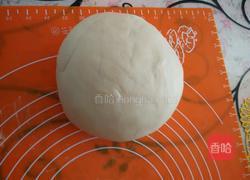 白面馒头的做法图解4