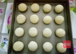 鲜奶油小面包(一次性发酵)的做法图解6