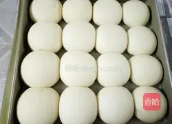 Fresh Cream Bread (One-Time Fermentation) Illustration 7