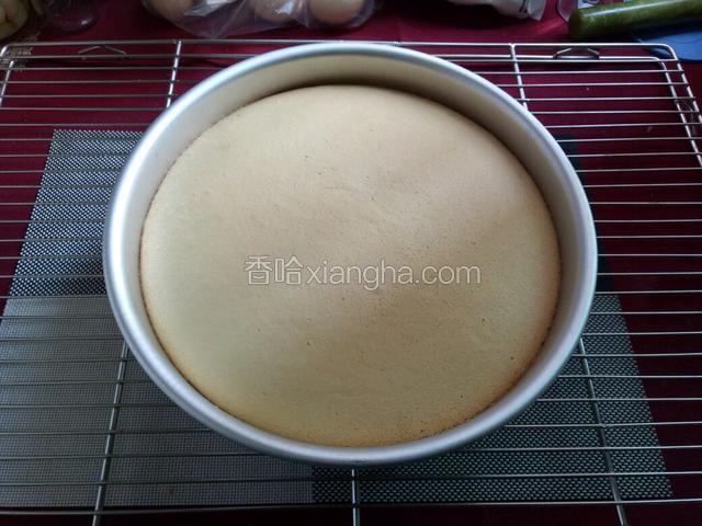 烤好的大蛋糕从40厘米高的地方落下震出热气。