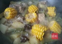 东北大乱炖之炖排骨的做法图解11