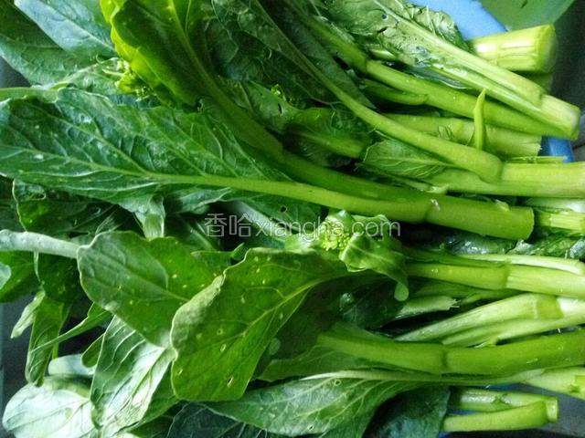 把油菜洗干净并晾干水