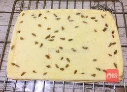 葡萄干蛋糕卷的做法图解17