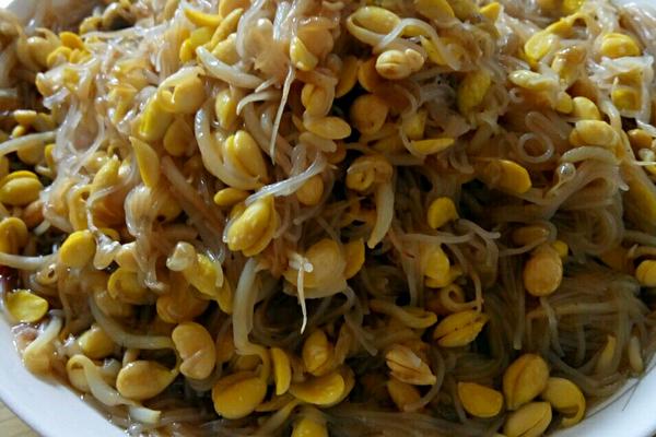 黄豆芽炒粉丝