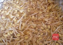 黄豆芽炒粉丝的做法图解1