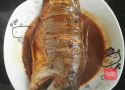 红烧海鲈鱼的做法图解9