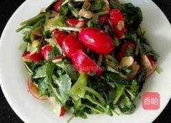 凉拌樱桃小萝卜的做法图解6