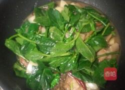 猪肉菠菜顿粉条的做法图解6