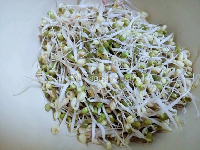 自发绿豆芽过水洗干净。
