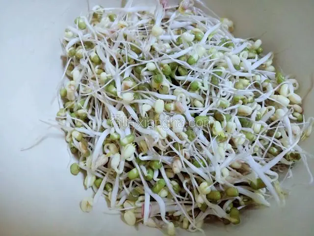 自发绿豆芽过水洗干净。