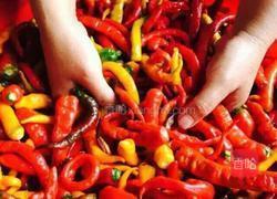 纯手工辣椒酱的做法图解2