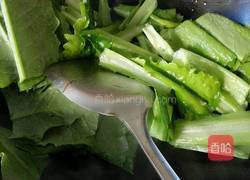 蒜蓉油麦菜的做法图解4