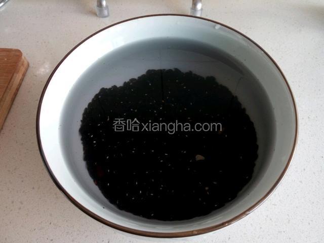 黑米、黑豆加水泡一天。黑米黑豆不易煮烂，泡时间长好一些。