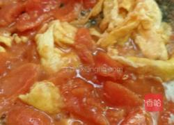 西红柿炒蛋的做法图解8