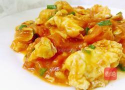 西红柿炒蛋的做法图解11