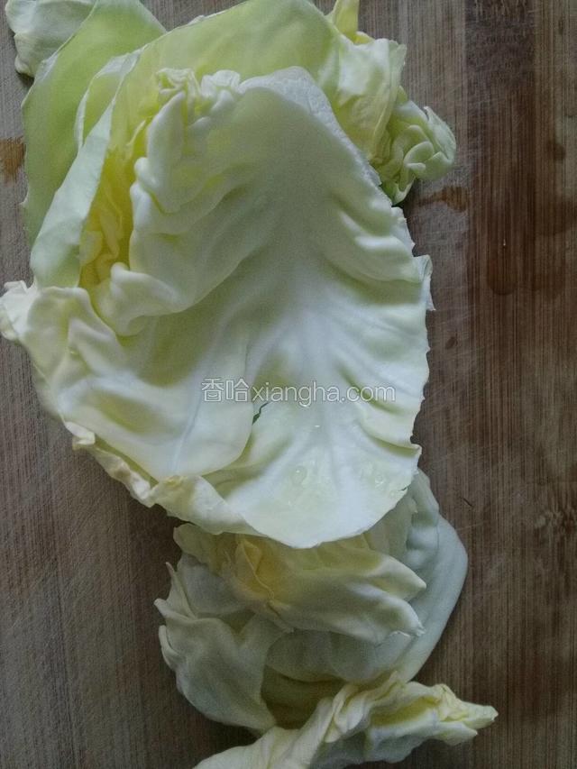 圆白菜清水洗净控水；