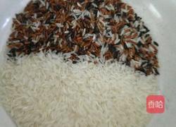 红米大米饭的做法图解1