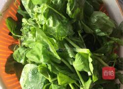 金华扒豆苗的做法图解1