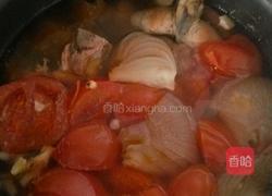 经典罗宋汤的做法图解8