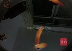 酱鸭的做法图解2