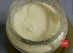 自制素沙拉酱的做法图解9