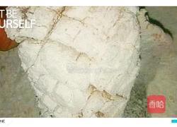 松鼠醋鱼的做法图解5