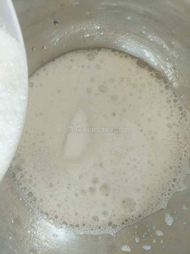打发蛋白，蛋白调入几滴柠檬汁用电动打蛋器打至鱼泡眼加入剩余白糖的三分之一继续打发