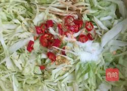 冷拌包菜的做法图解2