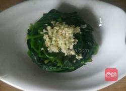 蒜蓉醋汁菠菜的做法图解4