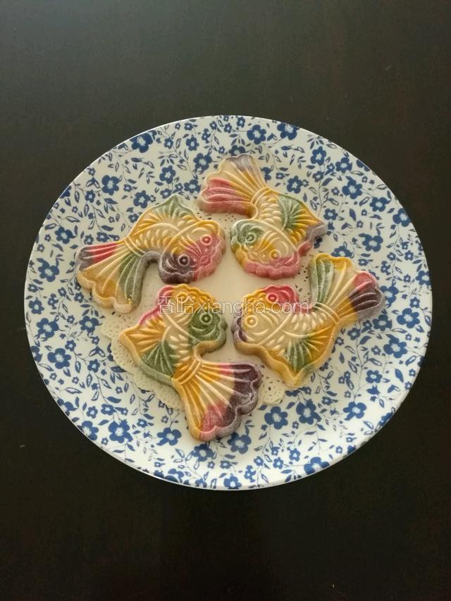 五色虎头鱼