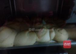 椰蓉馅面包的做法图解5