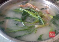 蒲公英煮鱼汤的做法图解6