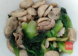 香炒口蘑的做法图解4