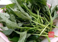 蒜炒红薯叶的做法图解1