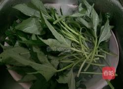 蒜炒红薯叶的做法图解2