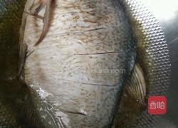 红烧武昌鱼的做法图解1