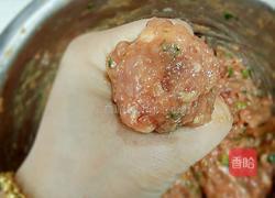 纯手工肉圆的做法图解7