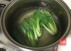 蒜香青菜的做法图解2