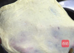 猫咪全麦蜂蜜面包的做法图解4