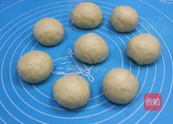 猫咪全麦蜂蜜面包的做法图解6