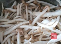 小蘑菇炒肉的做法图解2