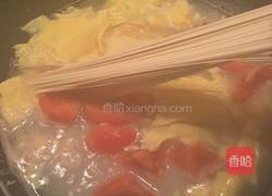 番茄鸡蛋煮面的做法图解7