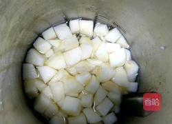 鲜榨苹果汁的做法图解4