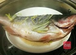 清蒸鲈鱼的做法图解4
